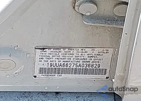 2005 Acura Tl из США, поврежденный, VIN 19UUA66275A036829